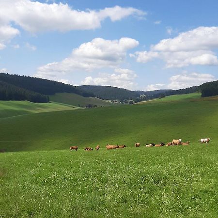 Haus Zum Sternen Appartement Vöhrenbach Buitenkant foto