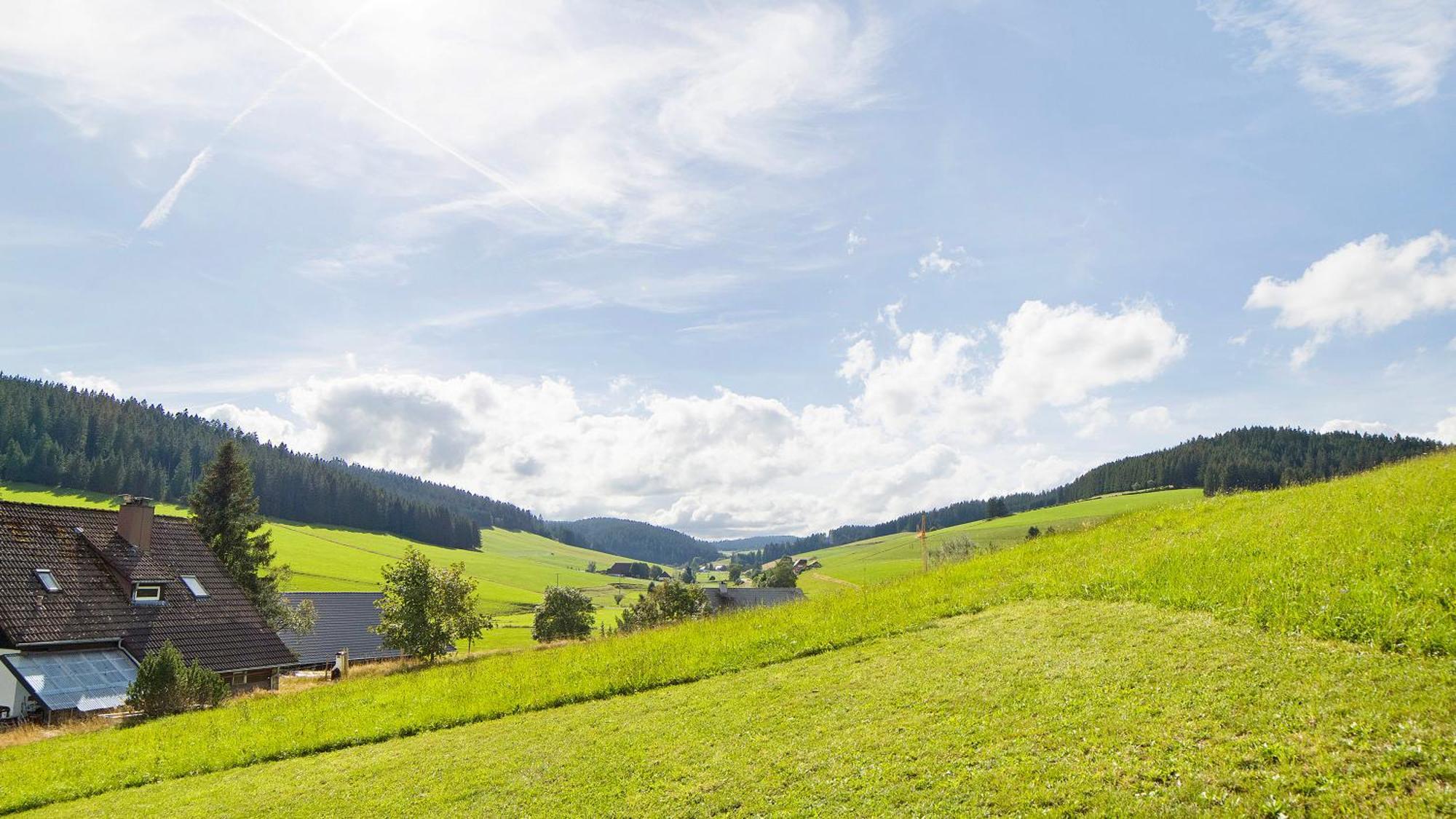 Haus Zum Sternen Appartement Vöhrenbach Buitenkant foto